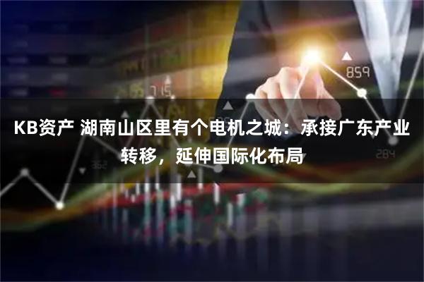 KB资产 湖南山区里有个电机之城：承接广东产业转移，延伸国际化布局